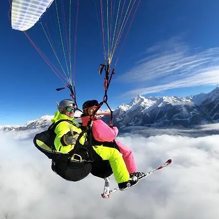 Maple マイヤーホーフェン