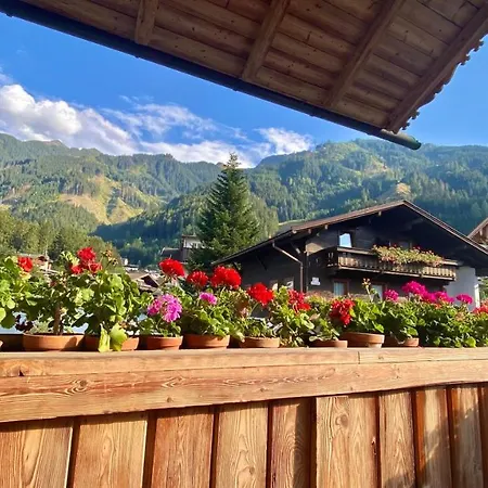 Maple アパート *