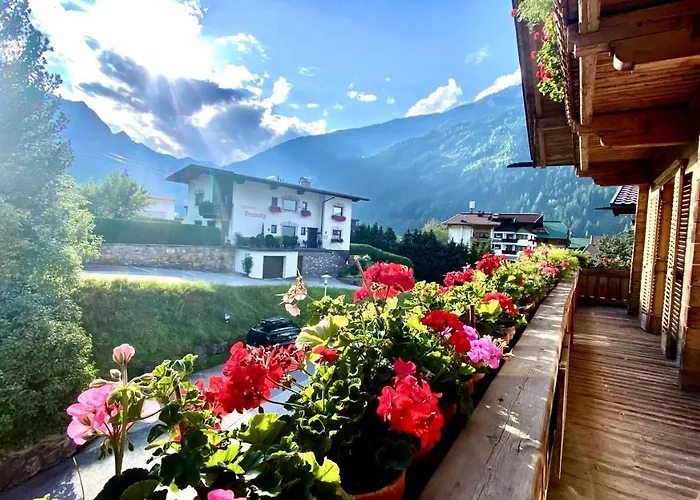 Maple * 메이른호픈