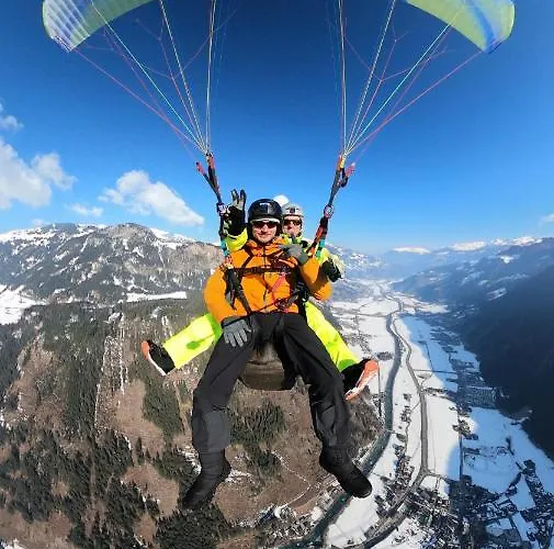 Maple مايرهوفن