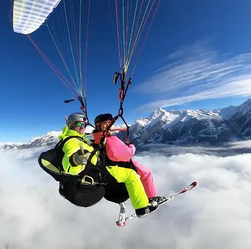 Maple 메이른호픈